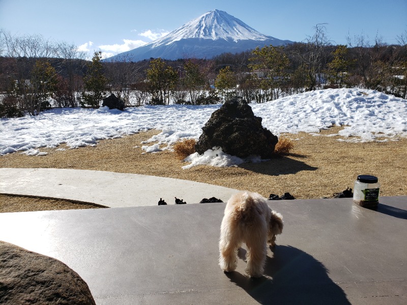 まつなーさんのアブラサスホテル 富士河口湖のサ活写真