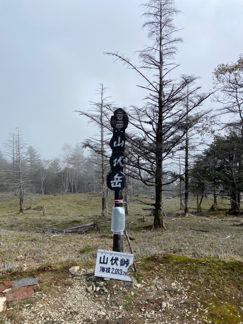 てんちょさんさんの用宗みなと温泉のサ活写真