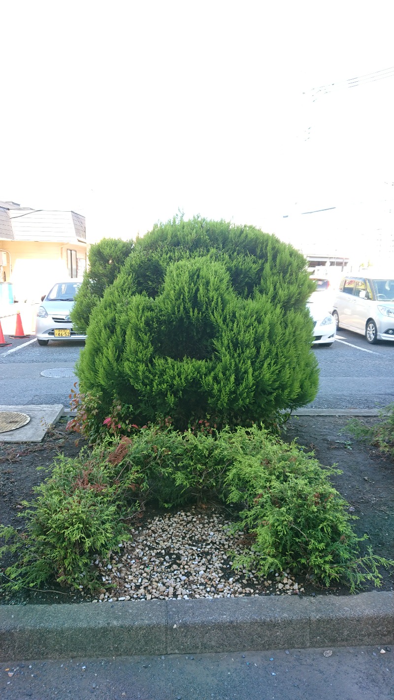 tsubasaさんの湯の泉 東名厚木健康センターのサ活写真