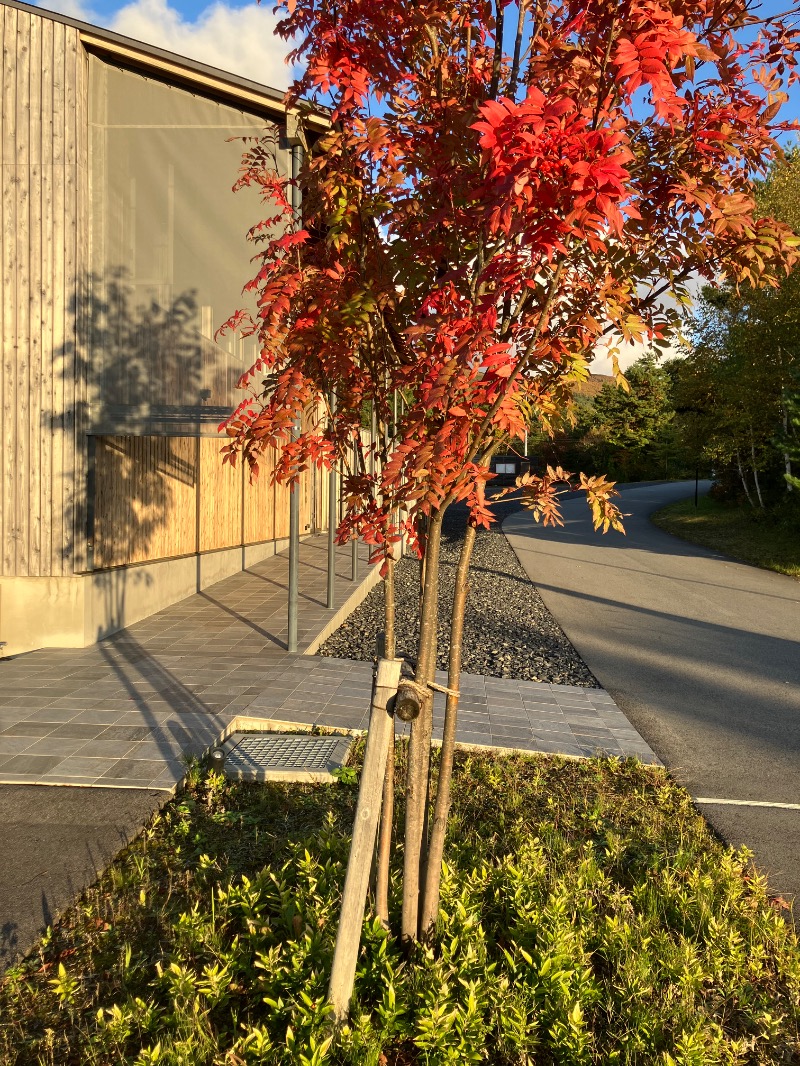 けんいちさんの高源ゆのサ活写真