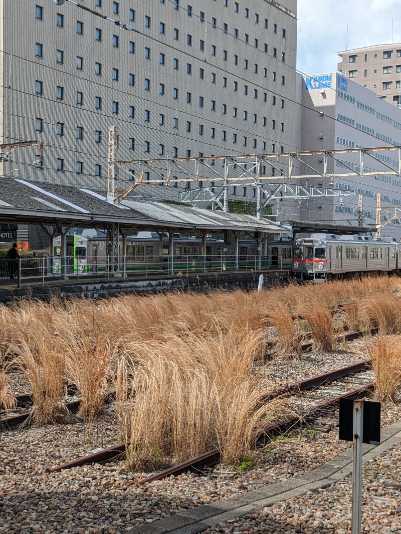 ごとうのおっさんさんの大垣サウナのサ活写真