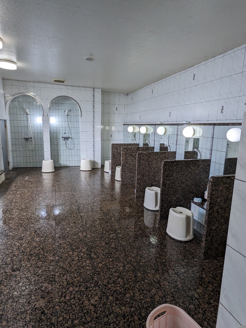 ごとうのおっさんさんの大垣サウナのサ活写真