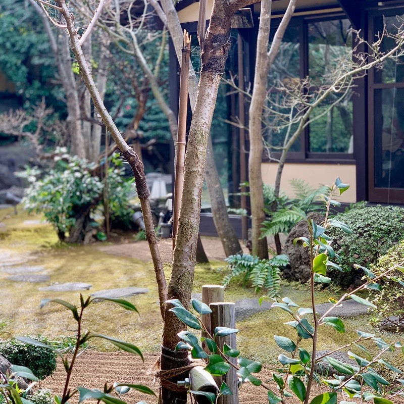 Water Bath Loversさんの前野原温泉 さやの湯処のサ活写真