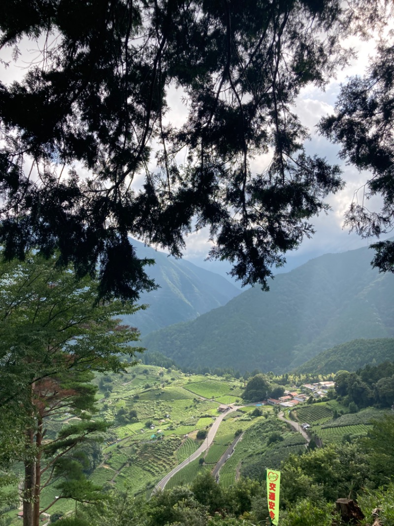 山本山さんの池田温泉 新館のサ活写真