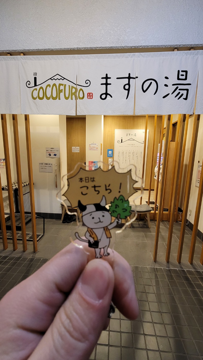 とんさんのCOCOFURO ますの湯のサ活写真