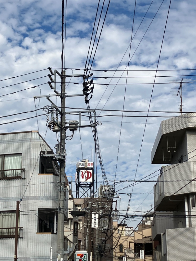 ささ湯さんの黒湯の温泉 ゆ〜シティー蒲田のサ活写真