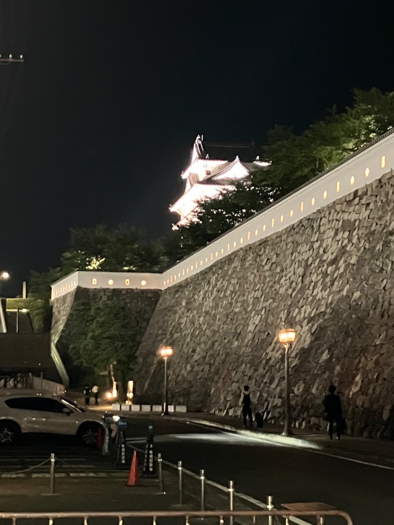 ささ湯さんのカプセル&サウナ日本のサ活写真