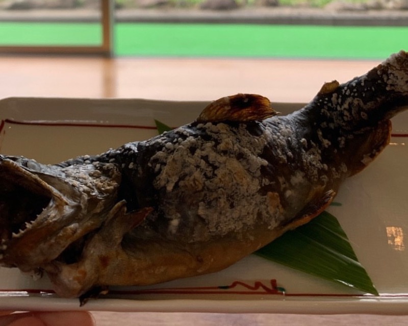 夢さんの平ふれあい温泉センター ゆ〜楽のサ活写真