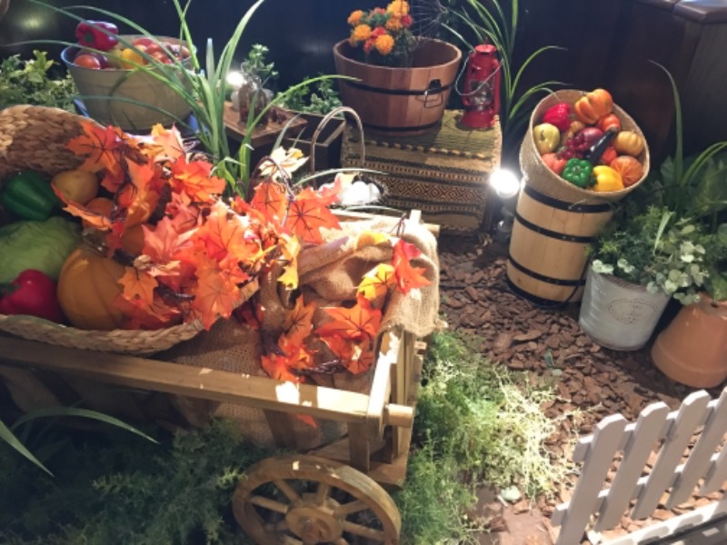 みかん🍊月刊サウナさんのおふろcafé ハレニワの湯のサ活写真