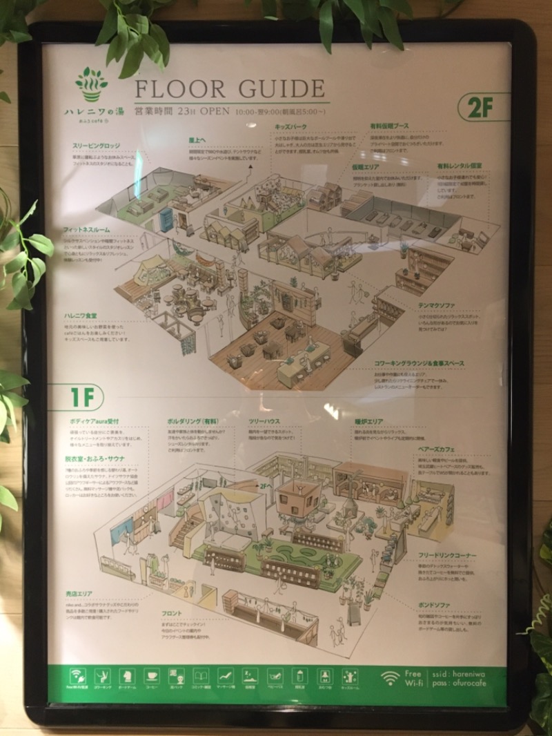 みかん🍊月刊サウナさんのおふろcafé ハレニワの湯のサ活写真