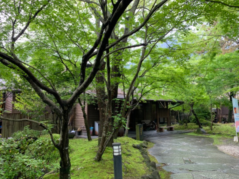 tsun//さんの八面山金色温泉のサ活写真