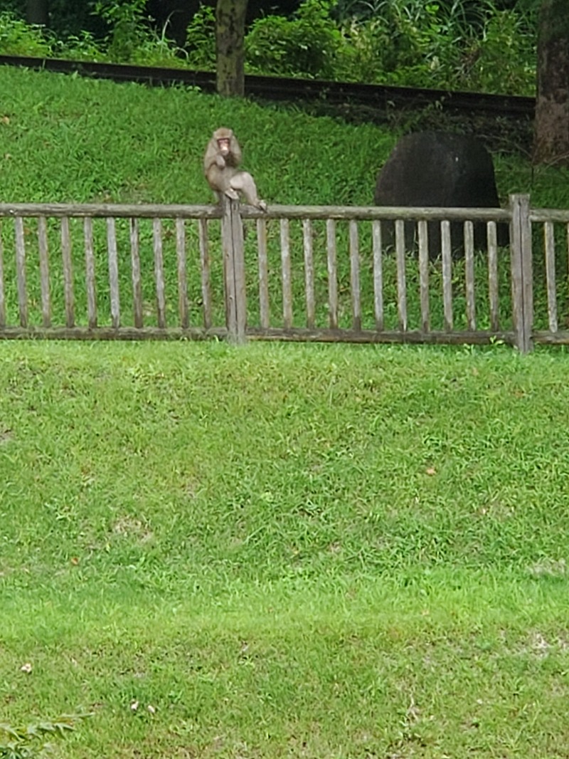 ぬー。さんの峠の湯のサ活写真