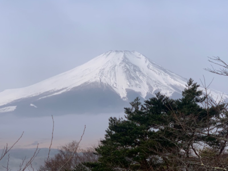 あやたかさんのホテルマウント富士のサ活写真