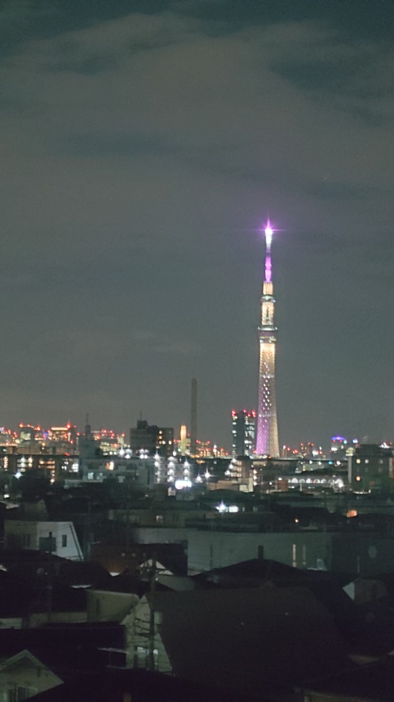 じゅんちさんの東京天然温泉 古代の湯のサ活写真