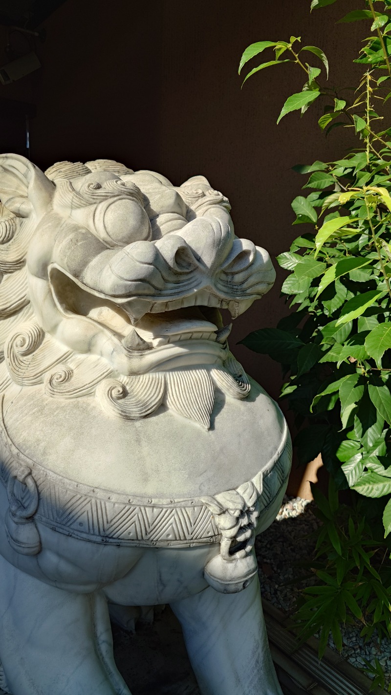 じゅんちさんのなにわ健康ランド 湯〜トピアのサ活写真