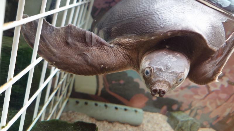 じゅんちさんの松本湯のサ活写真