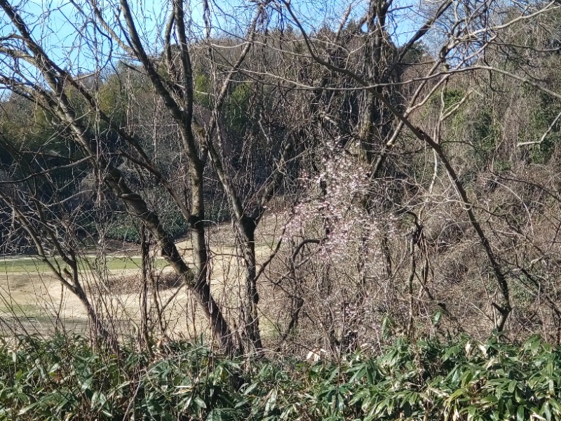 izumi_4869さんの光明石温泉 福岡の湯のサ活写真