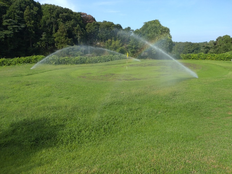 izumi_4869さんの金城温泉元湯のサ活写真