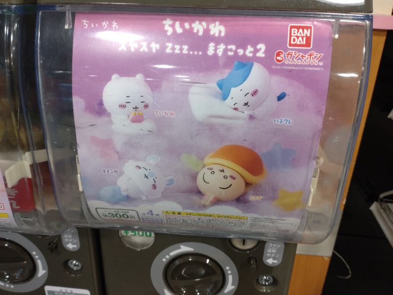 izumi_4869さんの天然温泉リラックスパーク テルメ金沢のサ活写真