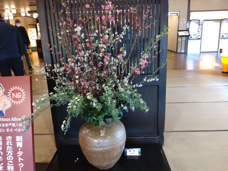 izumi_4869さんの満天の湯 金沢店のサ活写真