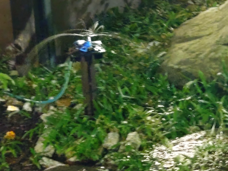 izumi_4869さんの満天の湯 金沢店のサ活写真