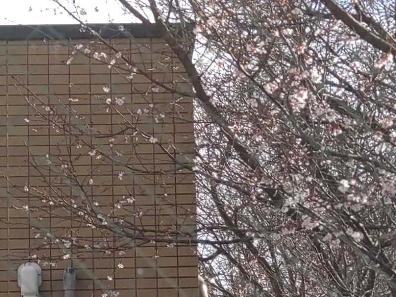 izumi_4869さんの満天の湯 金沢店のサ活写真