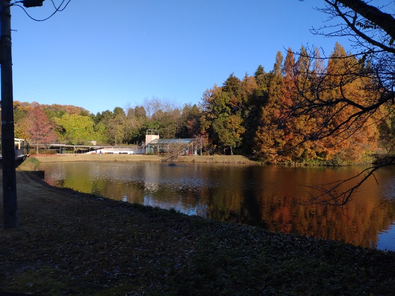 izumi_4869さんのぽかぽか御経塚の湯のサ活写真