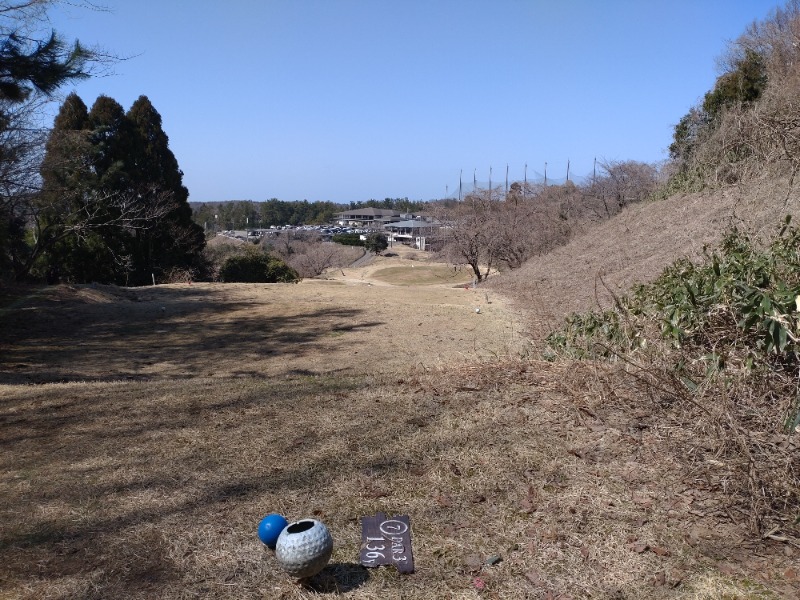 izumi_4869さんの源泉掛け流し しあわせの湯のサ活写真