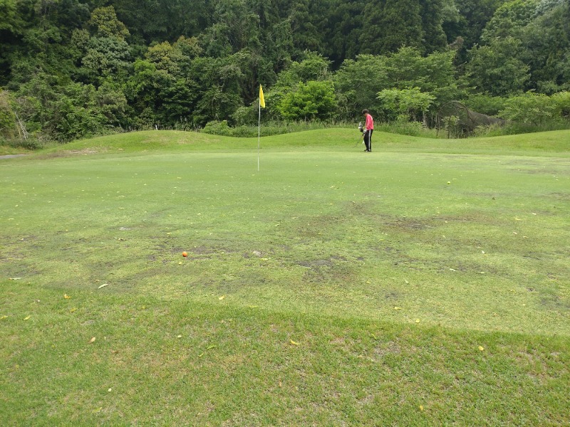 izumi_4869さんの源泉掛け流し しあわせの湯のサ活写真