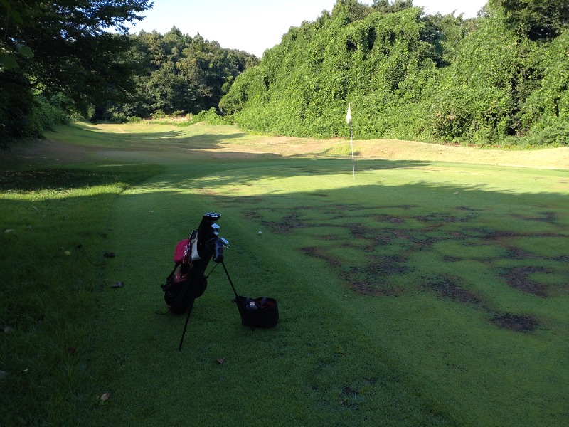 izumi_4869さんの源泉掛け流し しあわせの湯のサ活写真