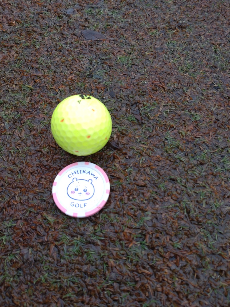 izumi_4869さんの浅の川温泉 湯楽のサ活写真