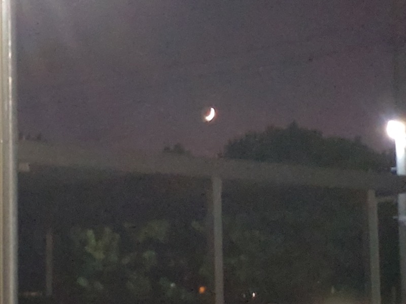 izumi_4869さんの千代野温泉のサ活写真