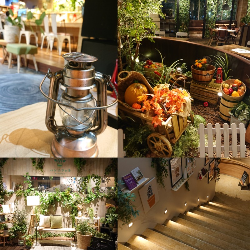 TaNoさんのおふろcafé ハレニワの湯のサ活写真