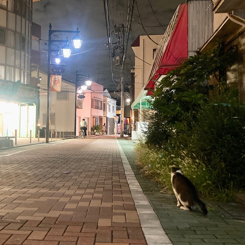 ジェームスさんの堀田湯のサ活写真