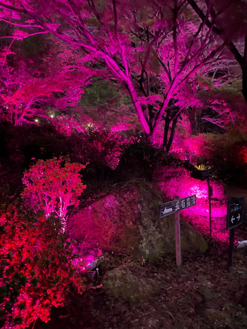 amamiさんの御船山楽園ホテル  らかんの湯のサ活写真