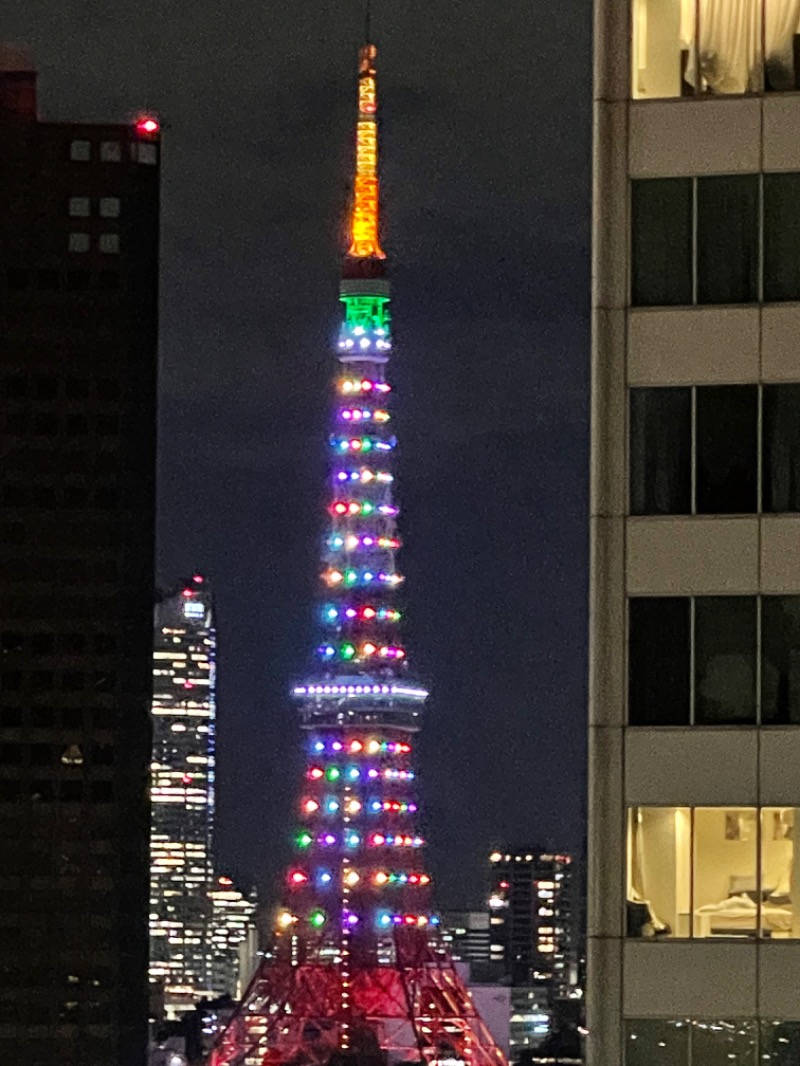 あきさんのアジュール竹芝 天空の湯のサ活写真