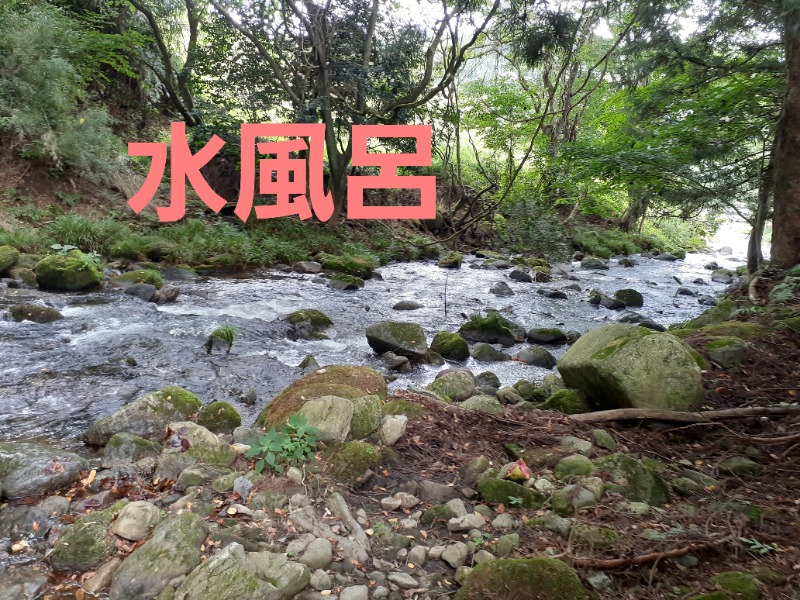 hayaminさんのコアミガメのサ活写真