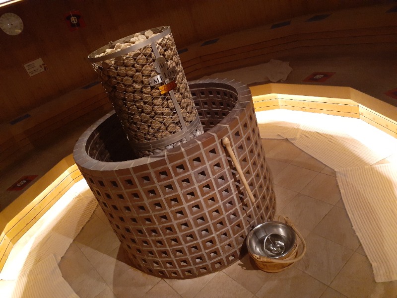 hayaminさんの天然温泉 平和島のサ活写真