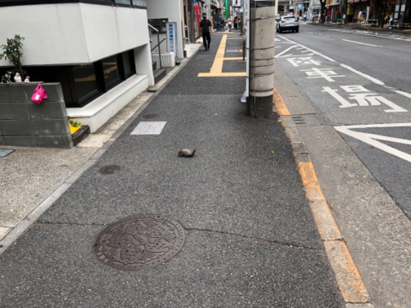 ヨネ（ヨネロッキー）さんの世田谷温泉 四季の湯のサ活写真