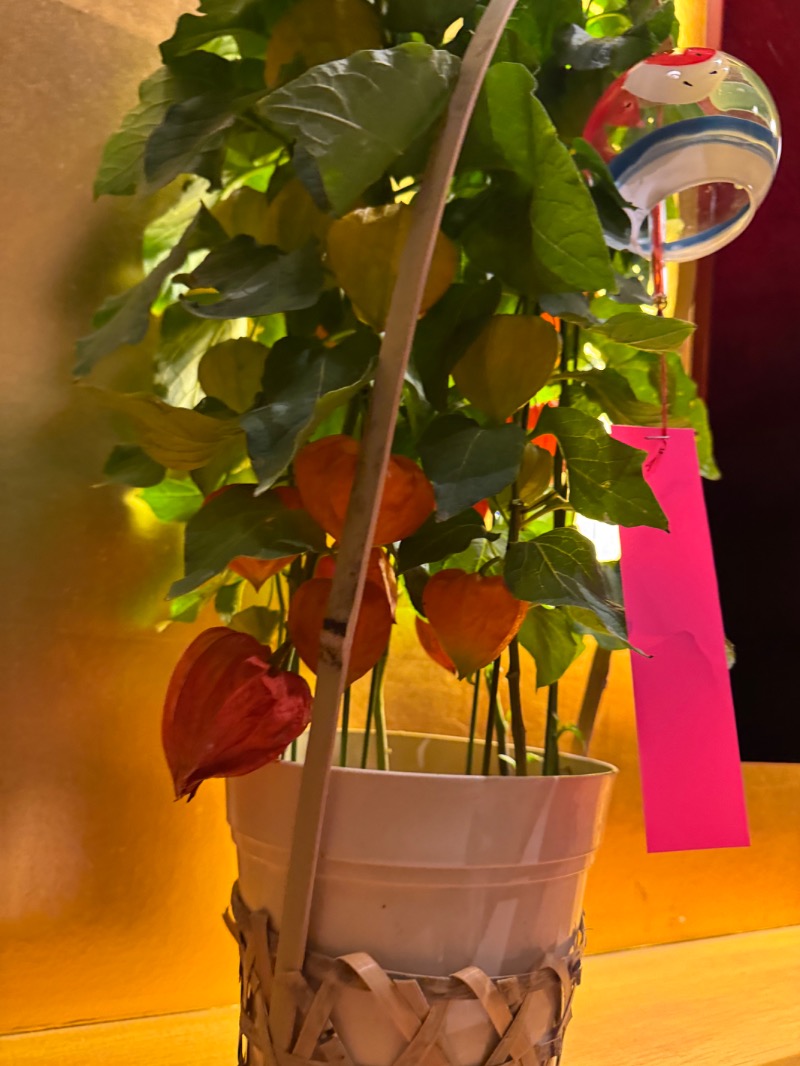 WATARU13℃さんのあかざる神楽坂SAUNAのサ活写真