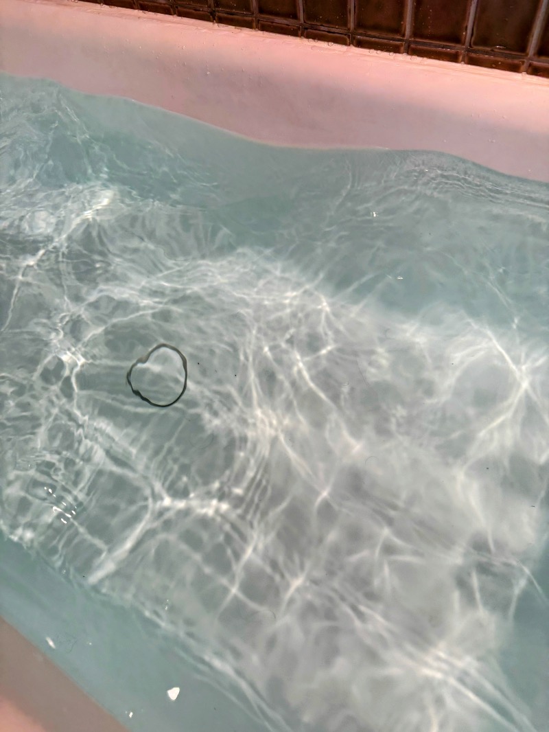 WATARU13℃さんのオールドルーキーサウナホテル木更津金田のサ活写真