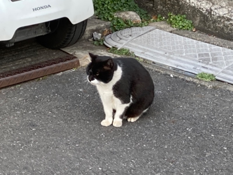 れさわさんの三の輪湯のサ活写真