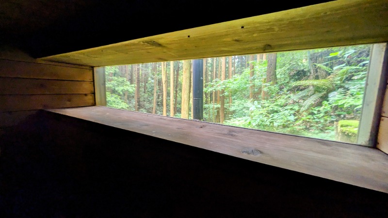 ボウズさんの森のサウナのサ活写真