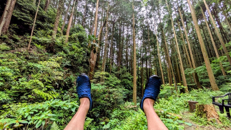 ボウズさんの森のサウナのサ活写真