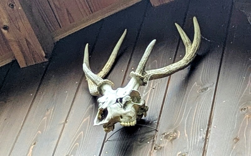 ボウズさんの山ノサウナ 廃校を貸切でのサ活写真