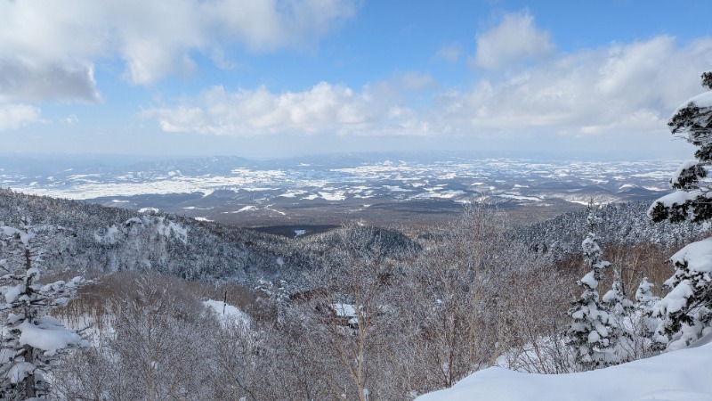 saunabozu2.0さんの十勝岳温泉 凌雲閣のサ活写真