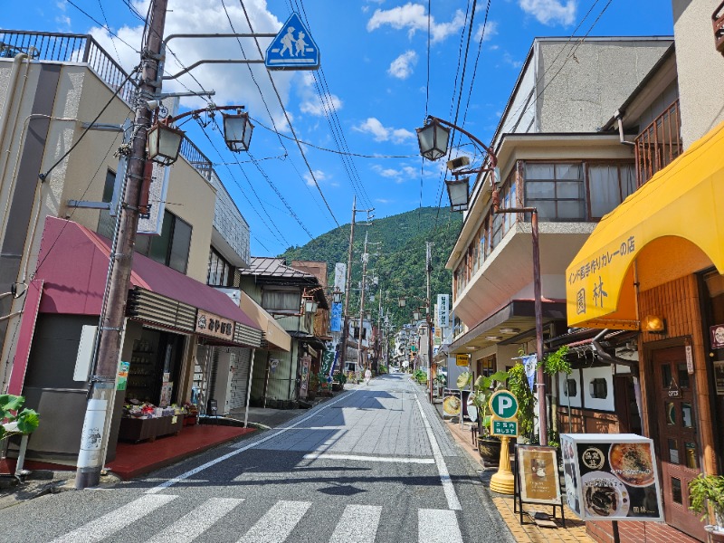 ぺんぺんさんの間登男之湯のサ活写真