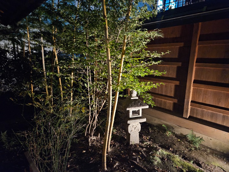 ぺんぺんさんの湯の華銭湯 瑞祥 松本館のサ活写真