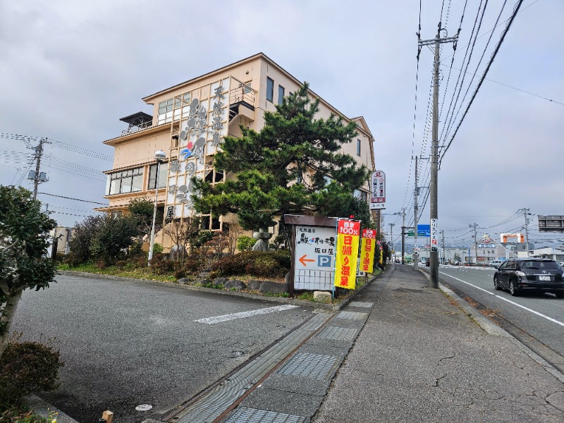 ぺんぺんさんの駿河の湯 坂口屋のサ活写真