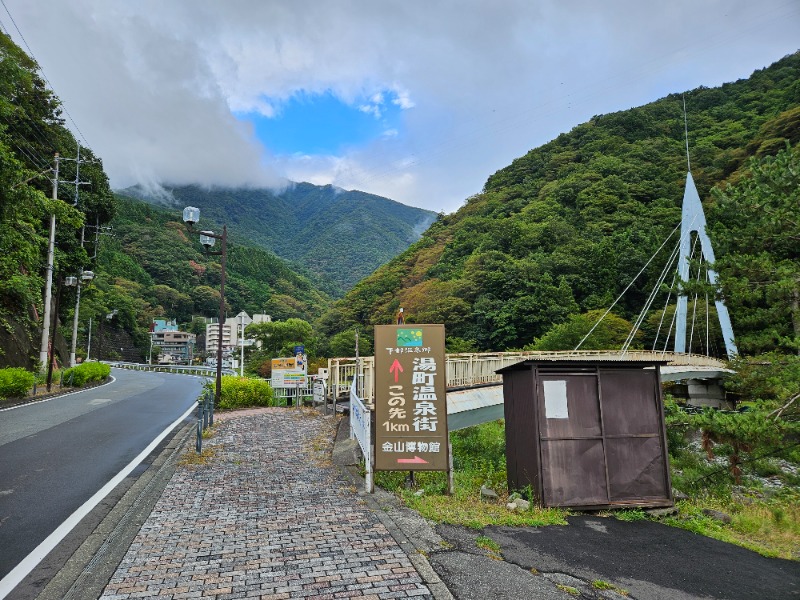 ぺんぺんさんのヘルシースパサンロード しもべの湯のサ活写真